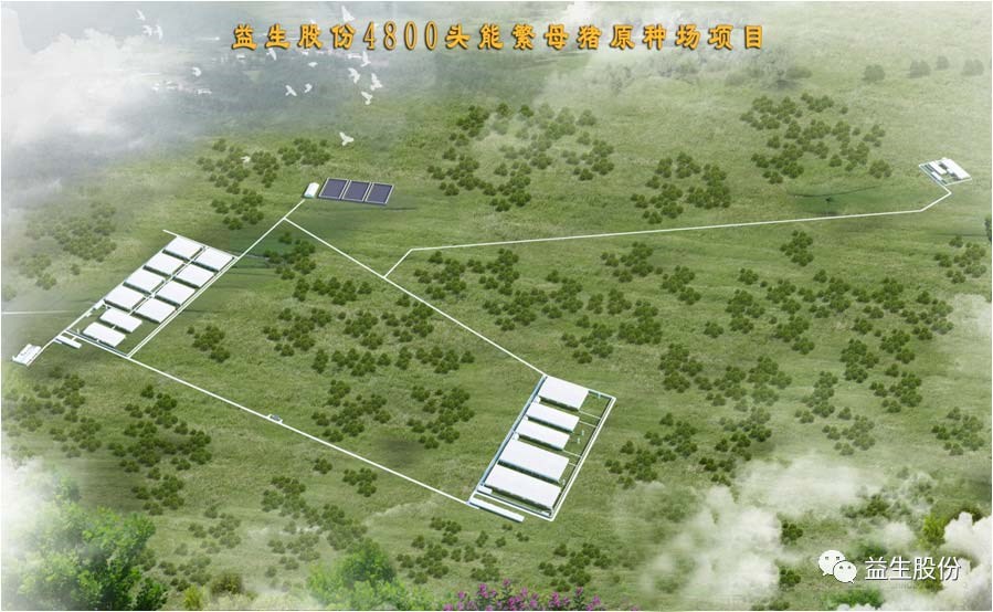 【喜讯】黑龙江J9集团种猪繁育有限公司原种猪场建设项目开工