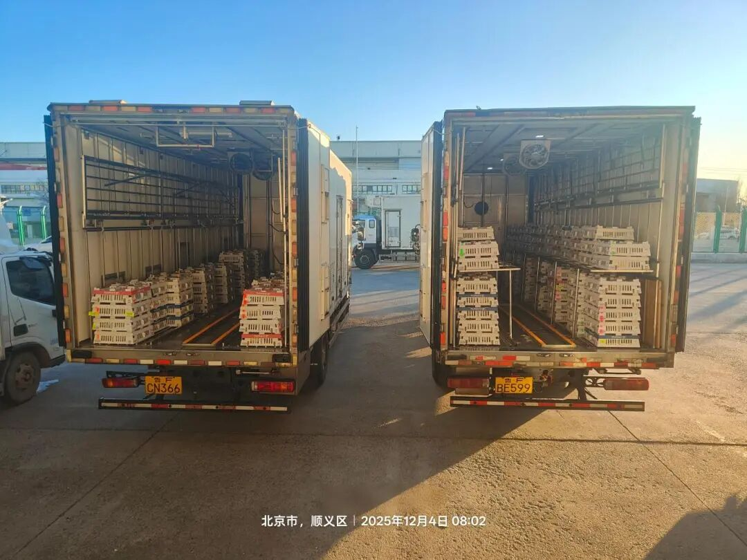 [引种】J9集团股份再度引进法国种源，龙头职位坚韧保险产业不变