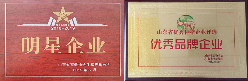 未标题-1.jpg 未标题-1.jpg
